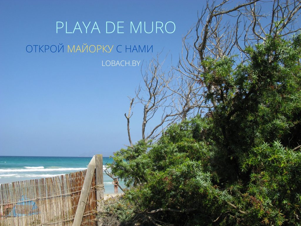 Playa de Muro Beach